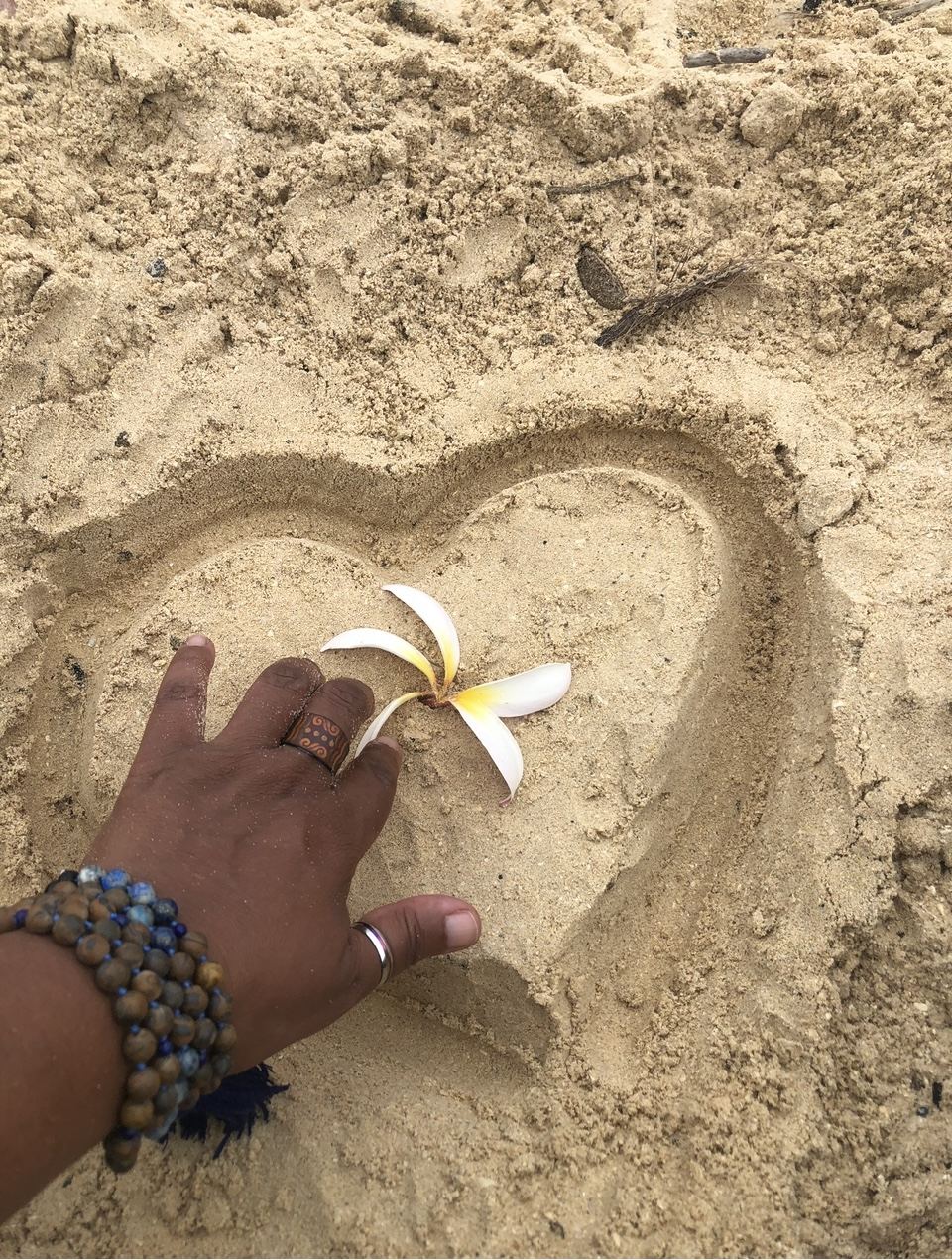 Hands with flowers — the gift of touch and healing
